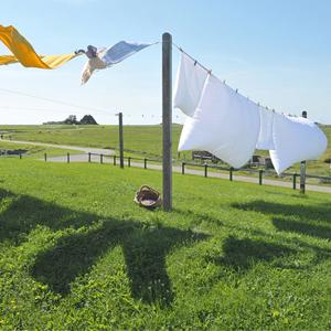 corda de nylon da pesca do ímã de 8mm 65 pés de corda da segurança com Carabiner 9